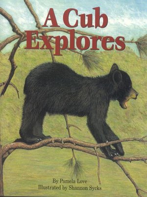 cover image of A Cub Explores